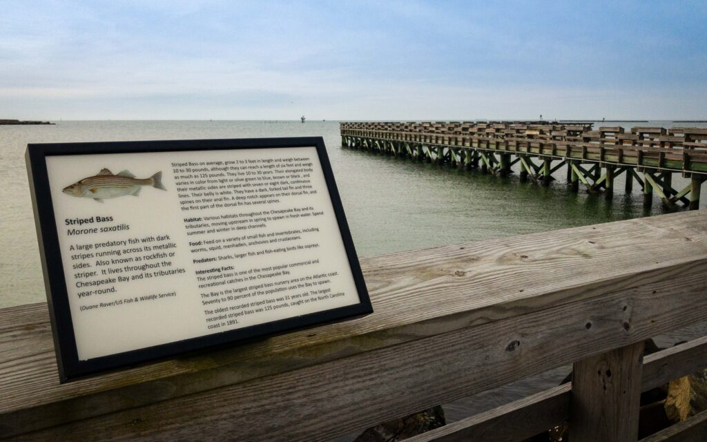 Fishing Pier