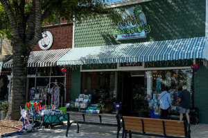 chessie's toy story on cape charles main street