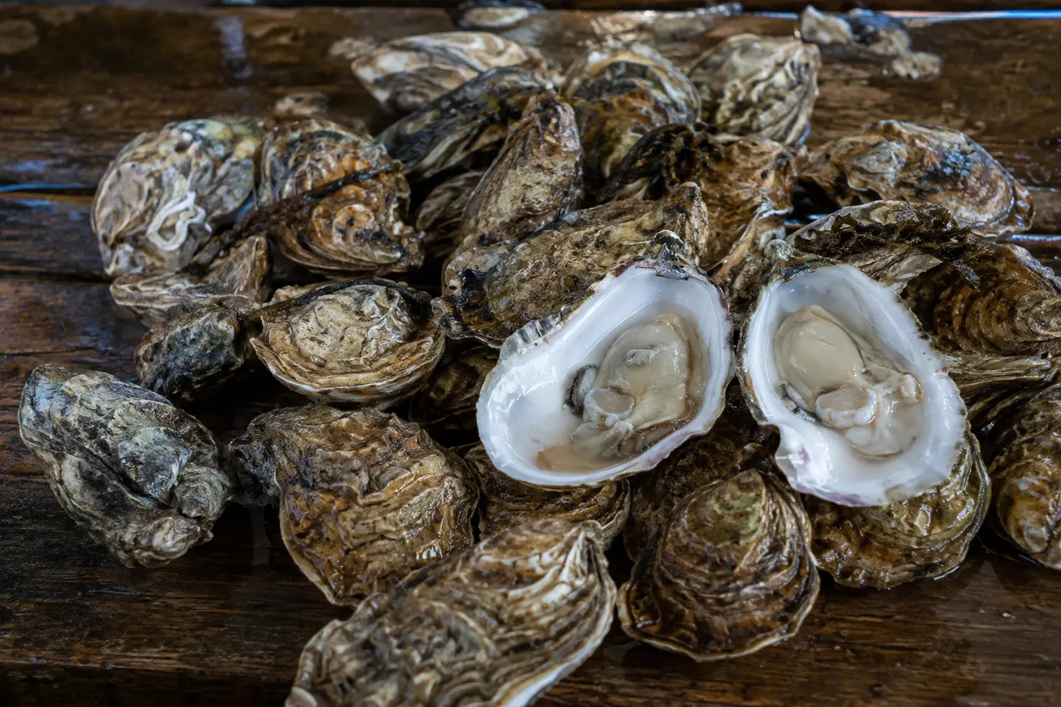 Fresh Eastern Shore oysters on the half shell piled on a wooden table